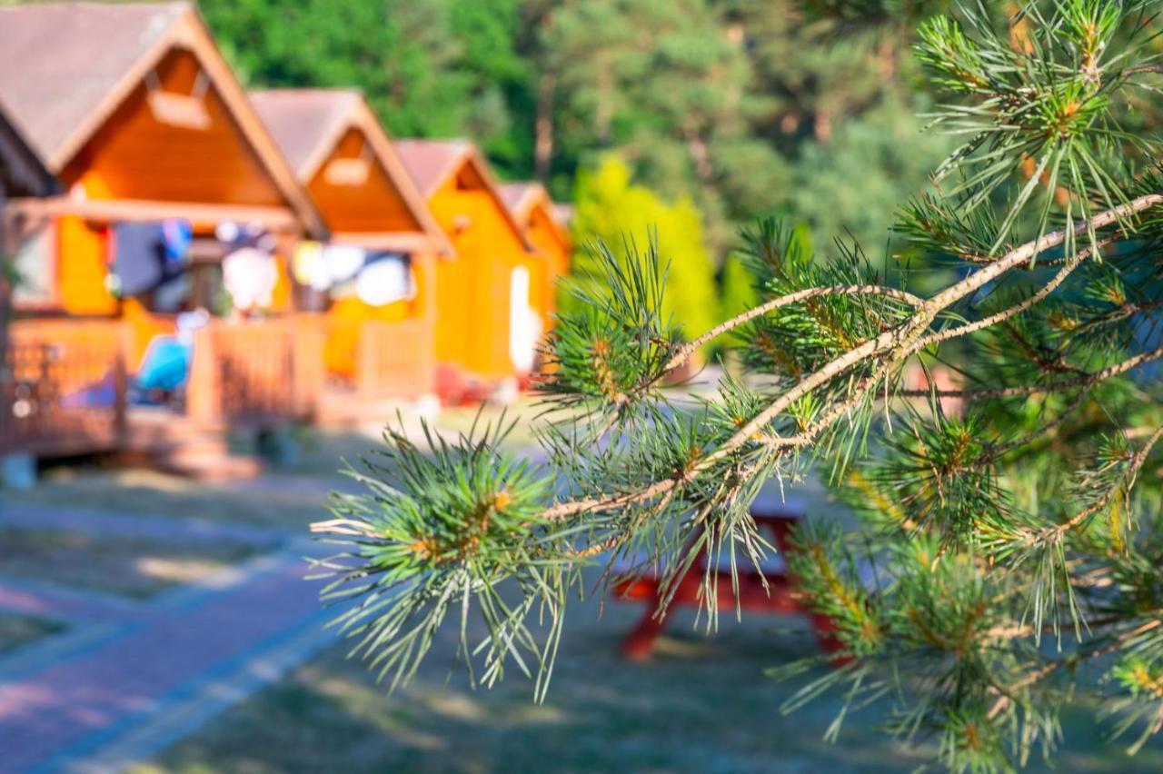 Domki Letniskowe I Pokoje Savana Nad Morzem Jarosławiec Buitenkant foto